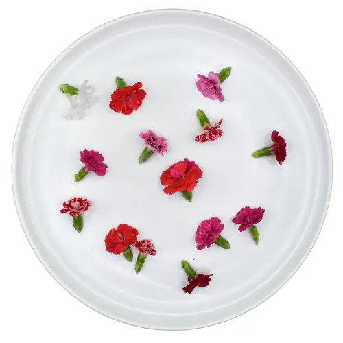 Jestivo cvijeće Dianthus mix